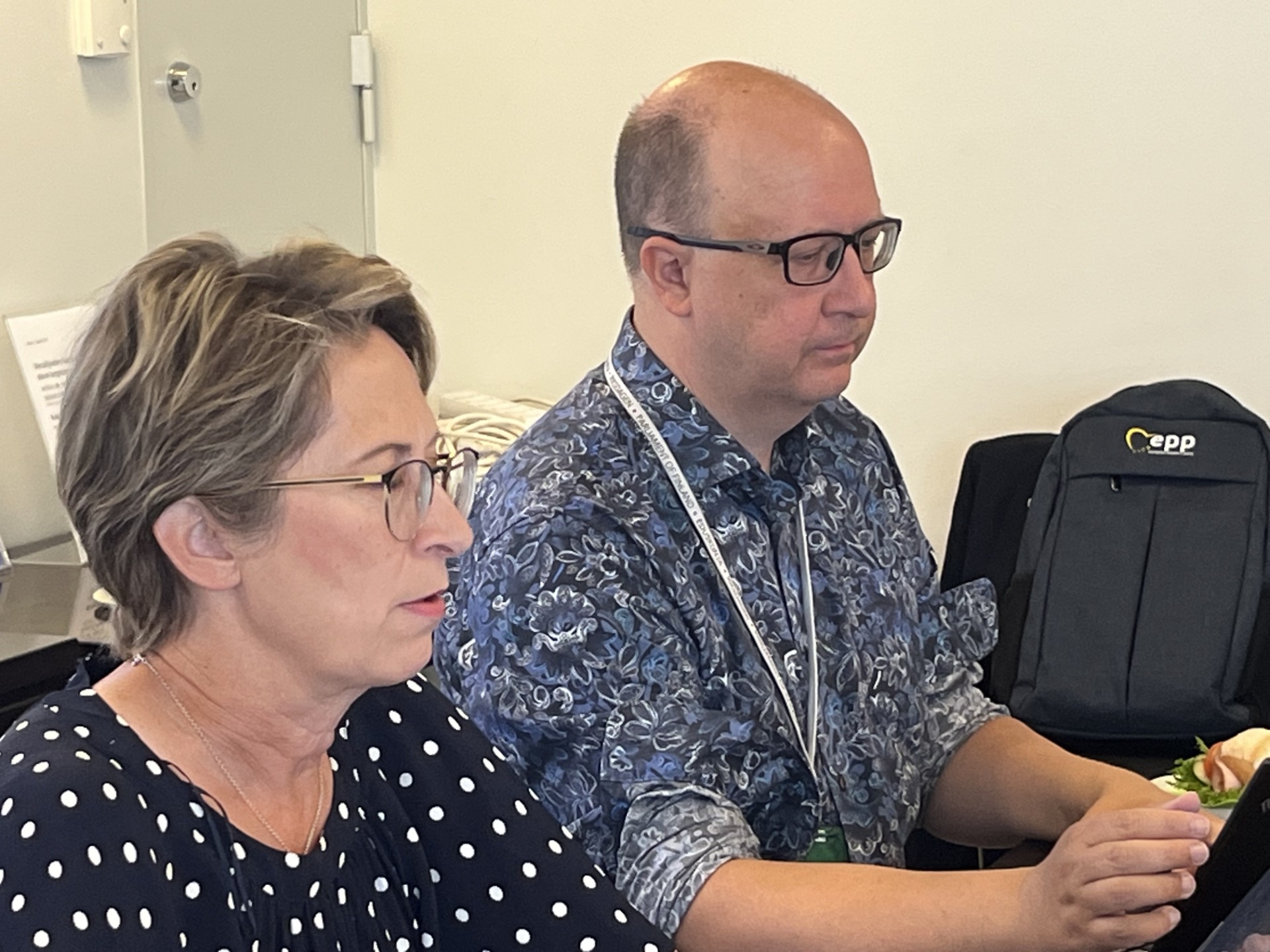 Sari Essayah, Mikko Rekimies